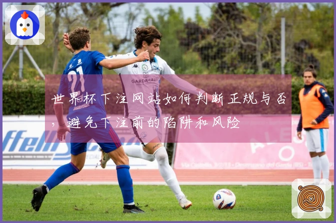世界杯下注网站如何判断正规与否，避免下注前的陷阱和风险