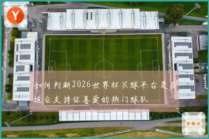 如何判断2026世界杯买球平台是否适合支持你喜爱的热门球队