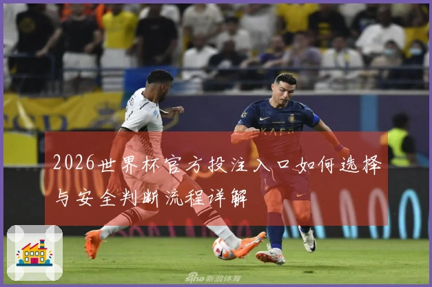 2026世界杯官方投注入口如何选择与安全判断流程详解