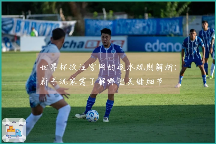 世界杯投注官网的返水规则解析：新手玩家需了解哪些关键细节