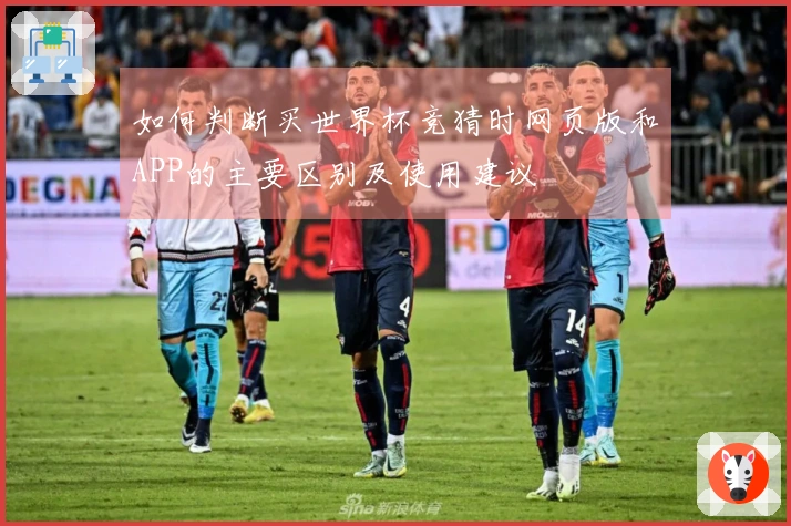 如何判断买世界杯竞猜时网页版和APP的主要区别及使用建议