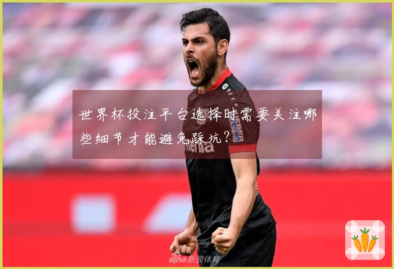 世界杯投注平台选择时需要关注哪些细节才能避免踩坑？
