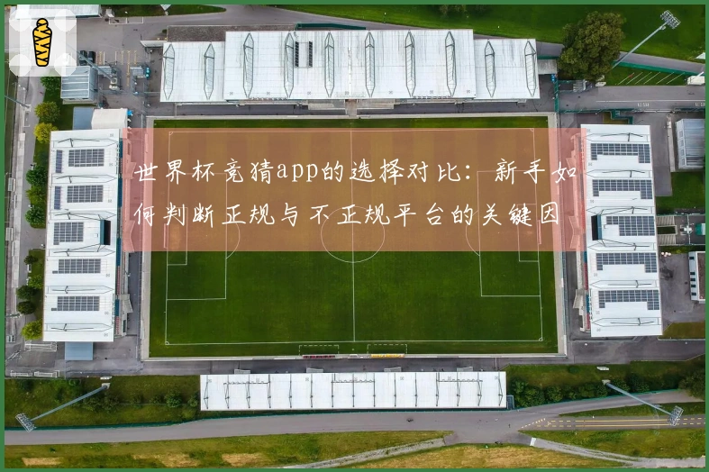 世界杯竞猜app的选择对比：新手如何判断正规与不正规平台的关键因素