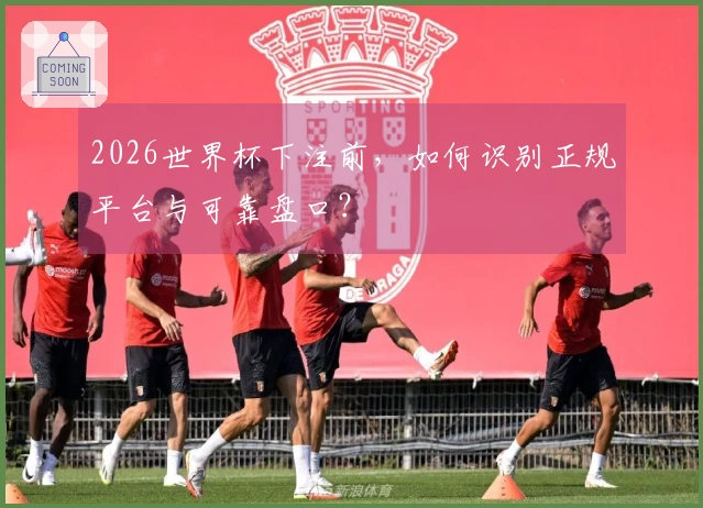 2026世界杯下注前，如何识别正规平台与可靠盘口？
