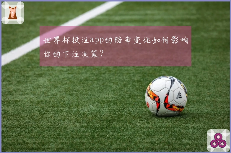 世界杯投注app的赔率变化如何影响你的下注决策？