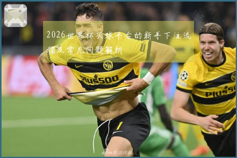 2026世界杯买球平台的新手下注流程及常见问题解析