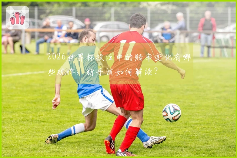 2026世界杯投注中的赔率变化有哪些规律，新手该如何解读？