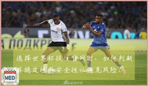 选择世界杯投注官网时，如何判断其稳定性和安全性以避免风险？