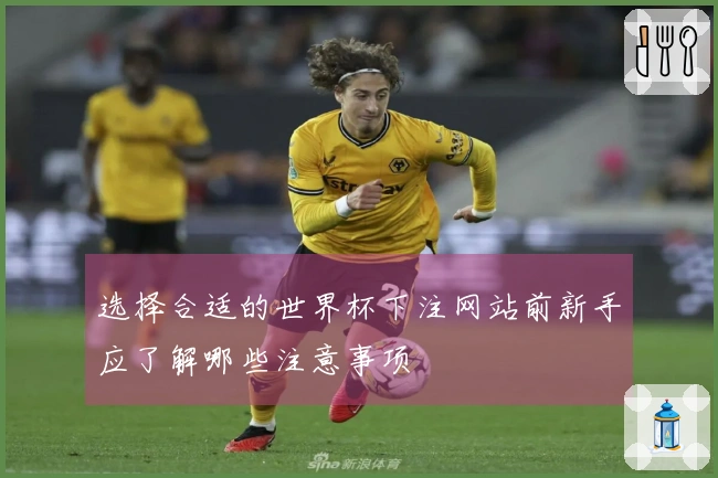 选择合适的世界杯下注网站前新手应了解哪些注意事项