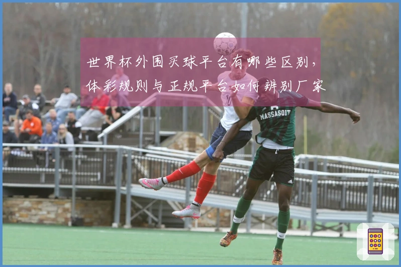 世界杯外围买球平台有哪些区别，体彩规则与正规平台如何辨别厂家信誉