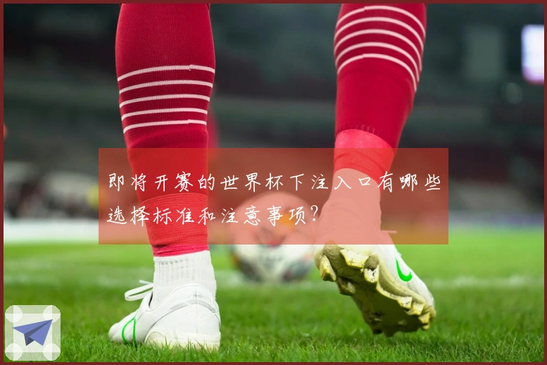 即将开赛的世界杯下注入口有哪些选择标准和注意事项？