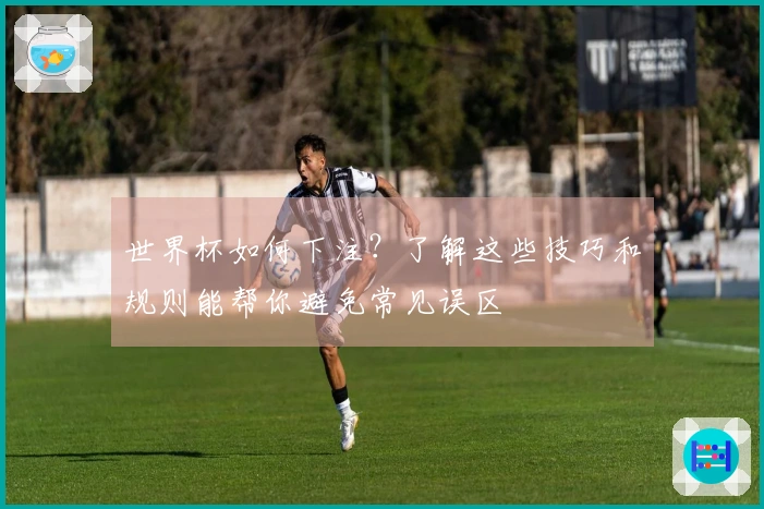 世界杯如何下注？了解这些技巧和规则能帮你避免常见误区