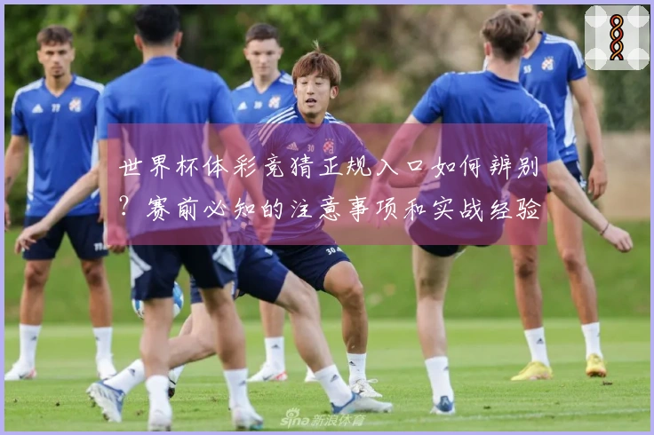 世界杯体彩竞猜正规入口如何辨别？赛前必知的注意事项和实战经验分析
