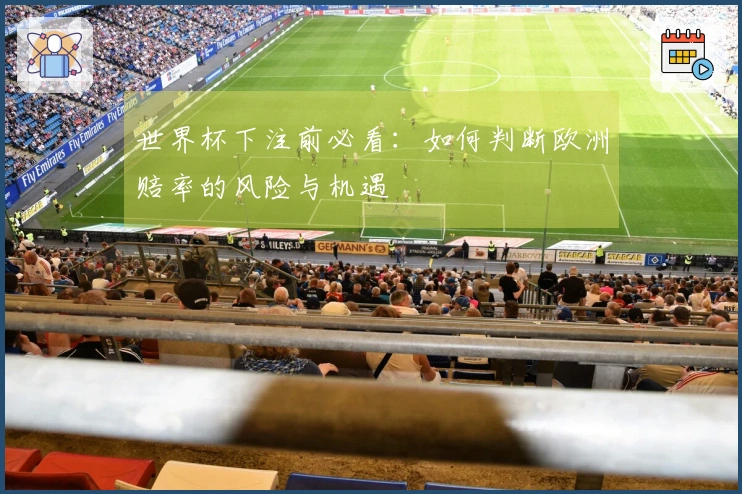 世界杯下注前必看：如何判断欧洲赔率的风险与机遇