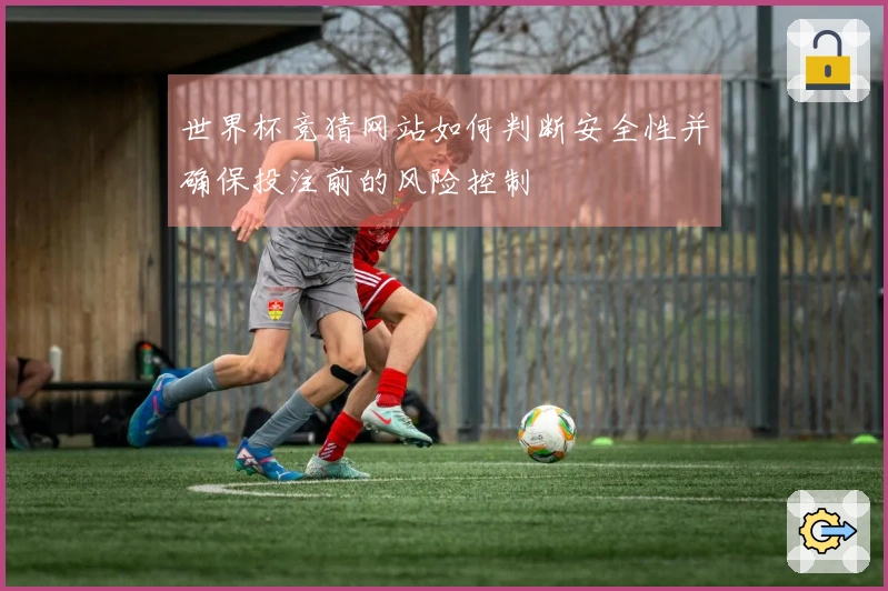 世界杯竞猜网站如何判断安全性并确保投注前的风险控制