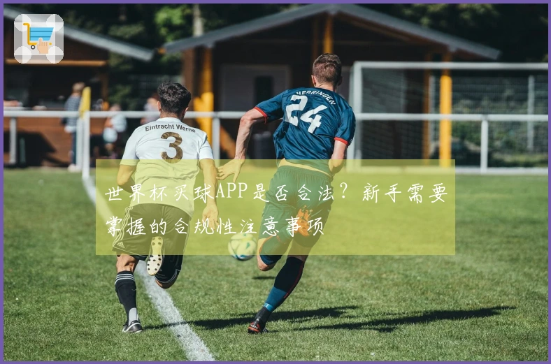 世界杯买球APP是否合法？新手需要掌握的合规性注意事项