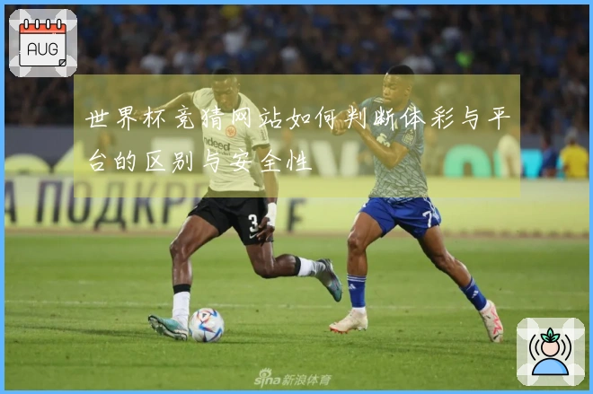 世界杯竞猜网站如何判断体彩与平台的区别与安全性
