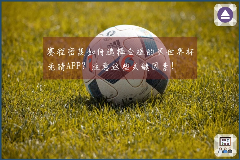 赛程密集如何选择合适的买世界杯竞猜APP？注意这些关键因素！