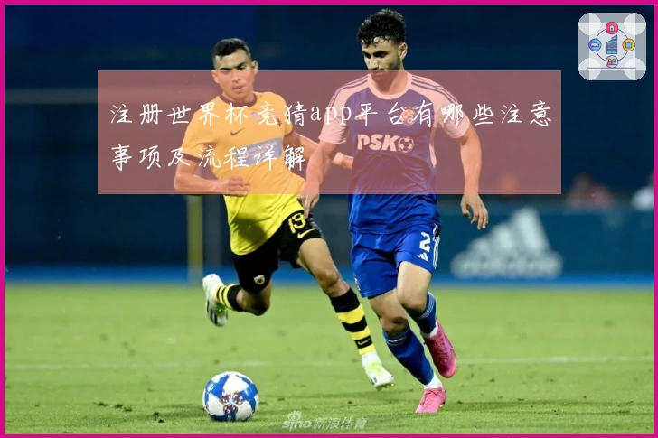 注册世界杯竞猜app平台有哪些注意事项及流程详解