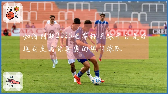 如何判断2026世界杯买球平台是否适合支持你喜爱的热门球队