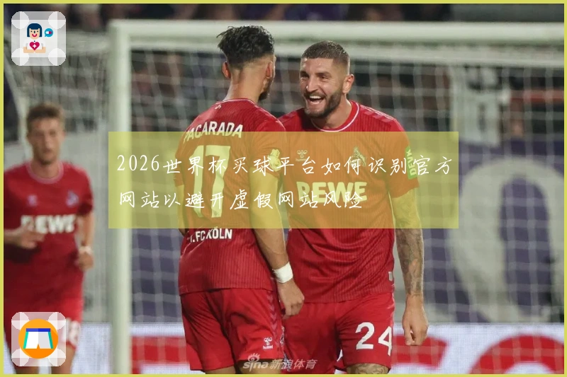 2026世界杯买球平台如何识别官方网站以避开虚假网站风险