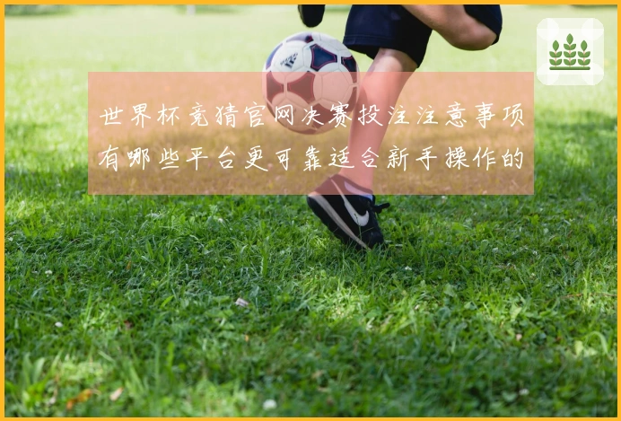 世界杯竞猜官网决赛投注注意事项有哪些平台更可靠适合新手操作的推荐