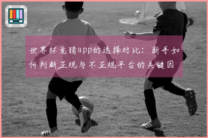 世界杯竞猜app的选择对比：新手如何判断正规与不正规平台的关键因素