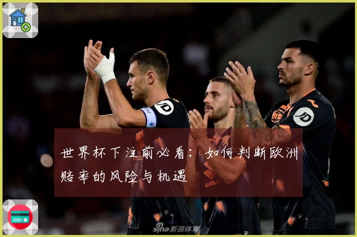世界杯下注前必看：如何判断欧洲赔率的风险与机遇