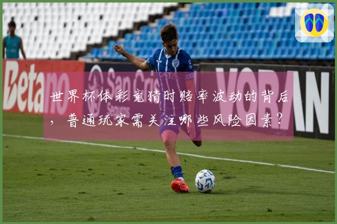 世界杯体彩竞猜时赔率波动的背后，普通玩家需关注哪些风险因素？
