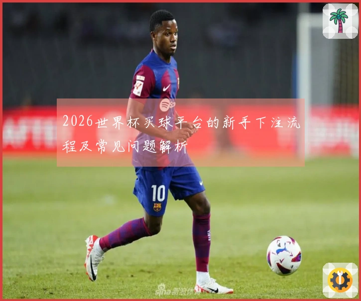 2026世界杯买球平台的新手下注流程及常见问题解析