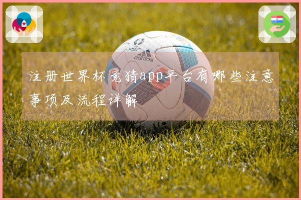 注册世界杯竞猜app平台有哪些注意事项及流程详解
