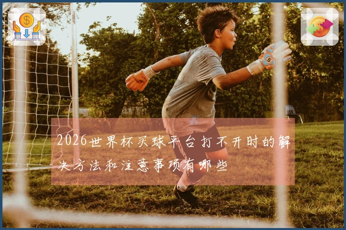 2026世界杯买球平台打不开时的解决方法和注意事项有哪些